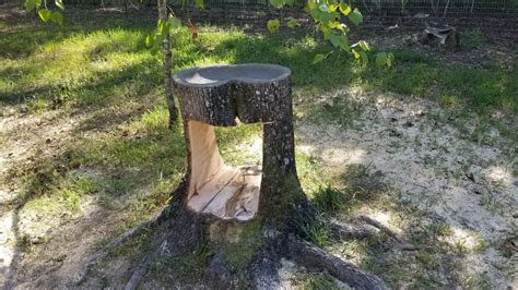 Part 2 Neat Tree Stump Bird Bath Bird Feeder Build Youtube