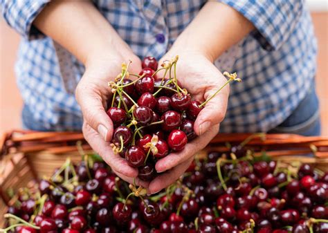 The Benefits Of Cherries And How To Enjoy Them
