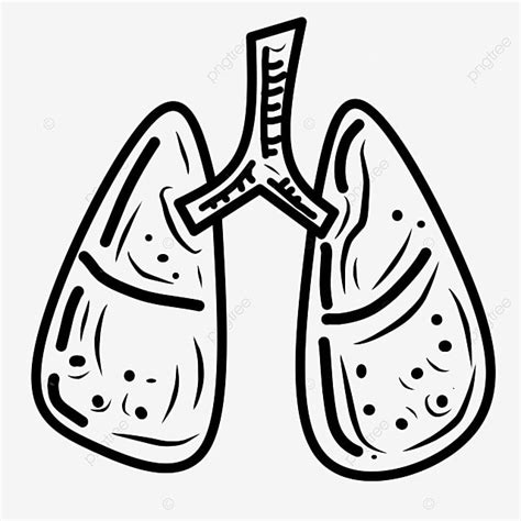 Lungs Line Art Medical Lung Drawing Medical Drawing Medical Sketch