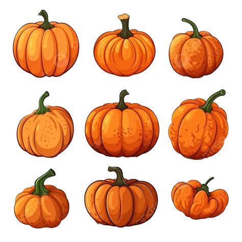 Vector Illustration Of A Set Of Pumpkins Of Different Shapes For