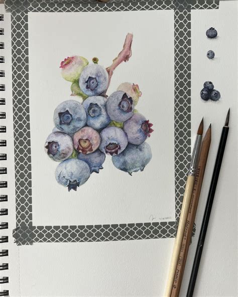 First Attempt At Blueberries Watercolor