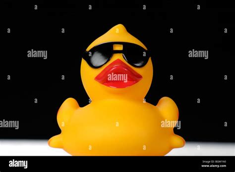 Rubber Duck With Sunglasses Stock Photo Alamy