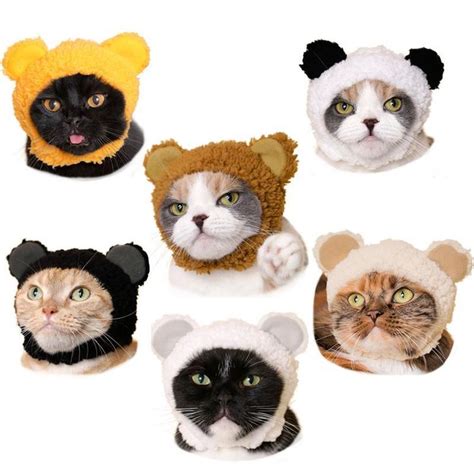 Six Different Cats Wearing Animal Hats On Their Heads