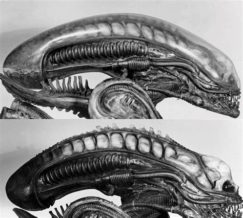 20 Giger Alien Drawings Bradleyaydin