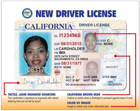 New California Driver License Drivers License Drivers License