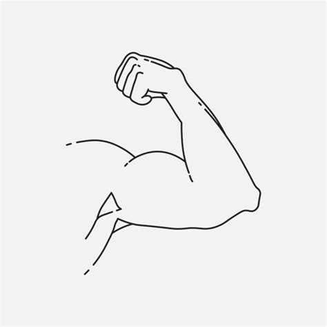 360 Flexing Bicep Drawing Stock Illustrations Royalty Free Vector
