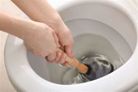How To Unblock Your Toilet A Problem Solving Guide