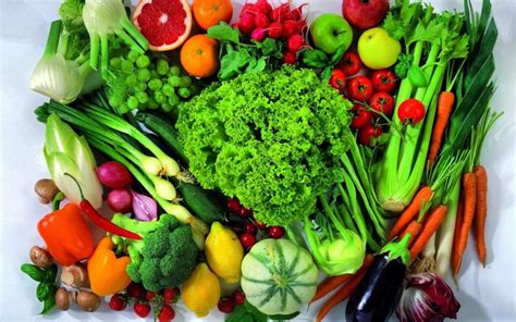 Fresh Vegetables Wholesale Lan Grupo