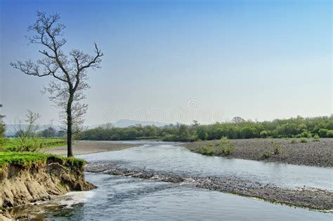 A Stretch Of The River Lune Near Lancaster Stock Photo Image Of Tree