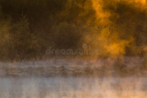 Morning Mist Over The Surface Of Water Stock Photo Image Of Serenely