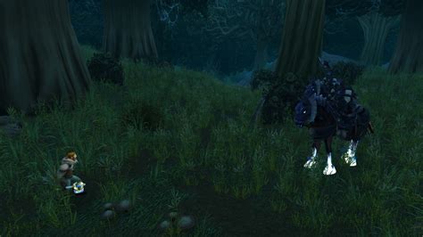 Following the Curse - Quest - World of Warcraft