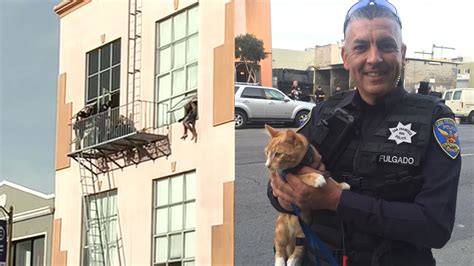 San Francisco Police Credit Suspects Cat For Helping To End Standoff