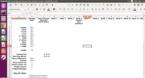 When I Open An Xlsx File With Libreoffice Calc It Has No Formatting