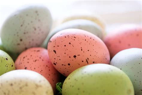 A Group Of Pastel Colored Easter Eggs Stockfreedom Premium Stock