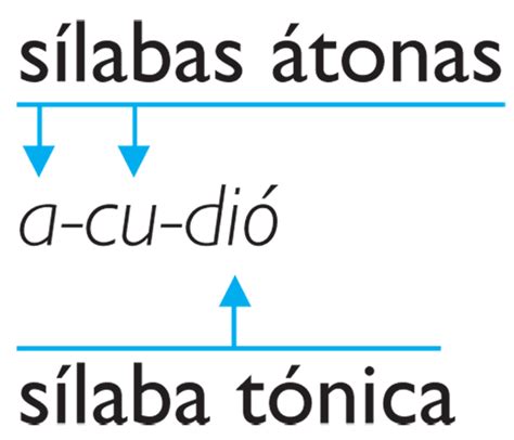 Silaba Silaba Tónica Silabas Atonas Definición Y Ejemplos Ciclo