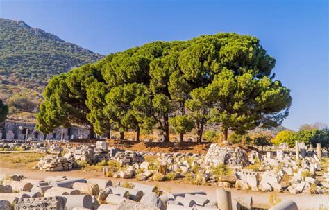 Breathtaking View Of The Ancient Ruins With Green Trees And Rock Piles