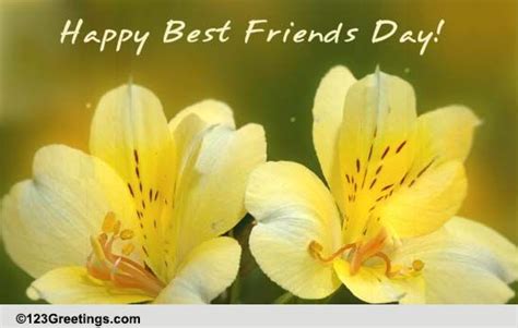 You Mean Much More Than A Friend Free Happy Best Friends Day Ecards