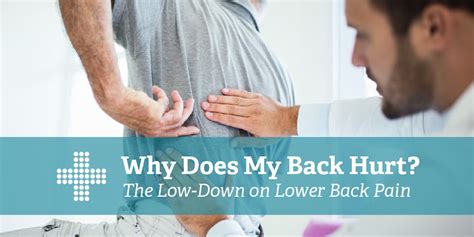Why Does My Back Hurt The Low Down On Lower Back Pain Patient Plus