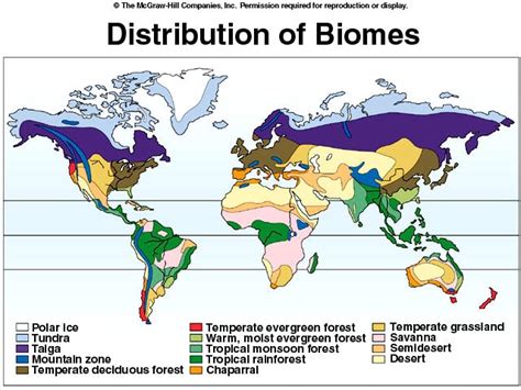 Sustainable Biomes Biomes Science Projects For Kids Weather Science