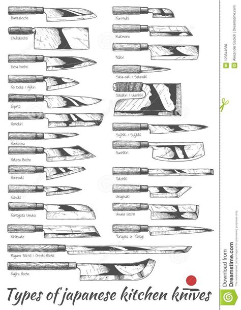 Illustration About Types Of Japanese Kitchen Knives Vector Hand Drawn