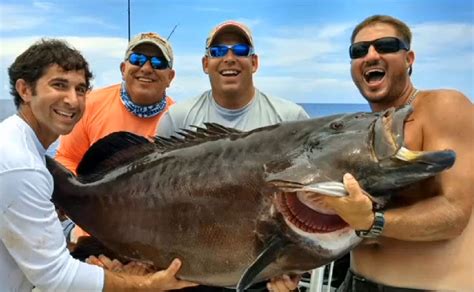 Potential World Record Black Grouper Caught In Florida Outdoorhub
