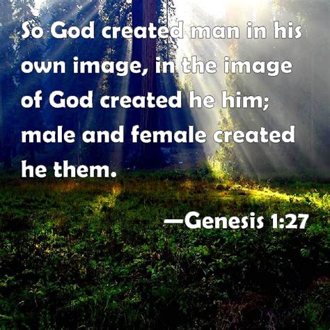 Genesis 127 So God Created Man In His Own Image In The Image Of God