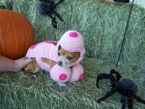 We Have A Winner For Our Halloween Pet Photo Contest New Braunfels