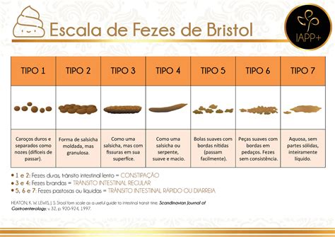 Escala De Fezes De Bristol