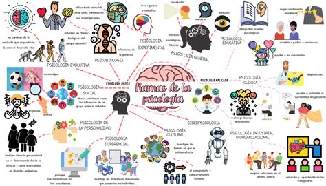 Mapa Mental De Las Ramas De La Psicología Ramas De La Psicología