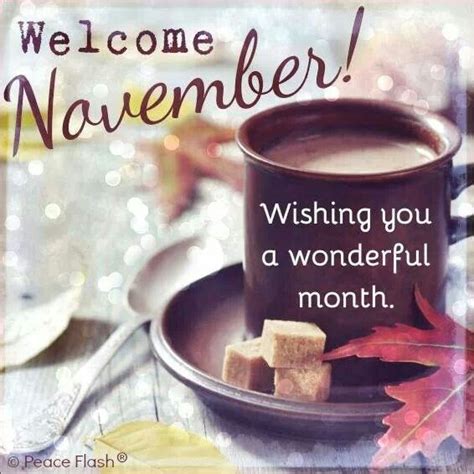 Welcome November Wishing You A Wonderful Month Pictures Photos And