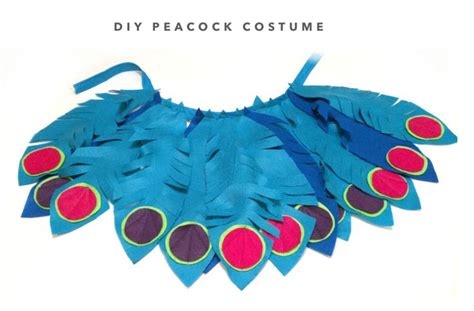 Diy Peacock Costume Guest Post Kraftandmint Diy Crafts Blog Peacock