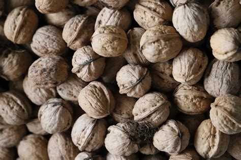Free Images Canon Eos Walnut Nut Nuts Seeds Food Superfood