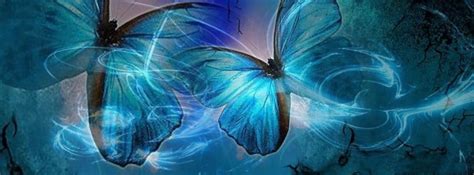 Butterfly Abstract Facebook Cover Facebook Covers Fb Covers