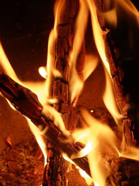 Free Images Flame Fire Campfire Bonfire 4830x3220 72108 Free