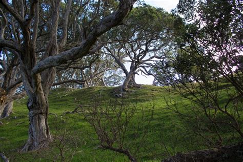 Vízhőmérséklet új zéland (aktuális hónapban). Új-Zéland, az ígéret földje - Határátkelő