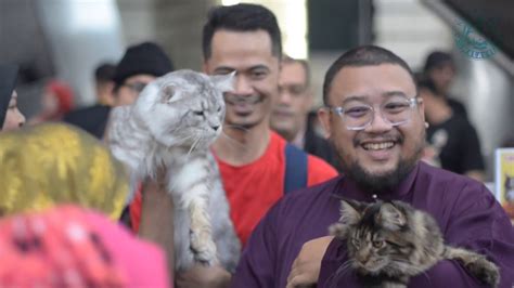 Kucing malasia o gato de malaysia es el de un gato de tamaño medio y cuerpo musculoso. KELAB KUCING MALAYSIA | PUTRAJAYA ANIMAL LOVERS 2018 ...