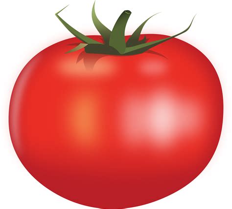 Clipart Tomato By Rones