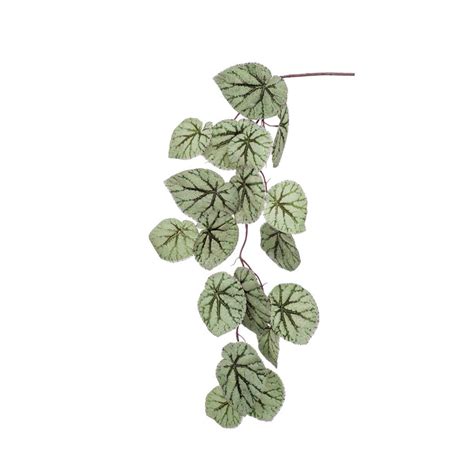 Begonia Hangplant H110 Pot Vaas Sfeermakers