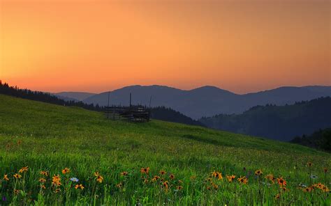 Romania Hills Sunset Field Flowers Landscape Wallpaper 1920x1200