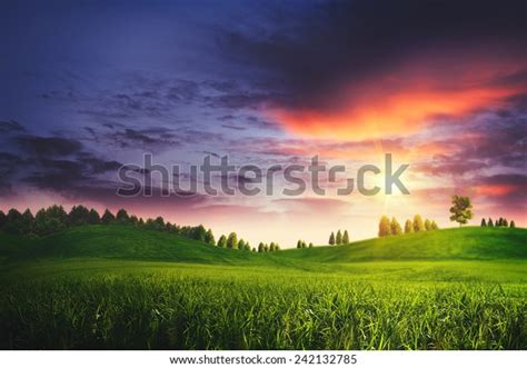 Dramatic Sunset On Summer Meadow Natural Stock Photo 242132785