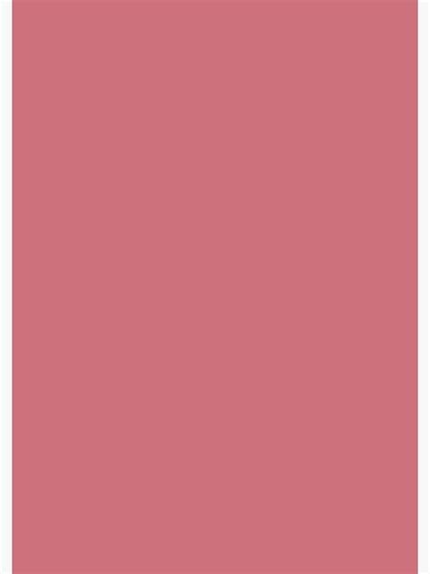 Now Thats Pink Solid Color Single Accent Shade Hue Coordinates W