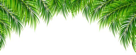 Pin the clipart you like. Palm Leaves Decor PNG Clip Art Image | Gallery ...