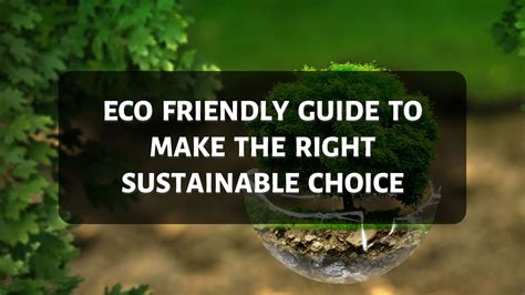 Eco Friendly Guide To Make The Right Sustainable Choice
