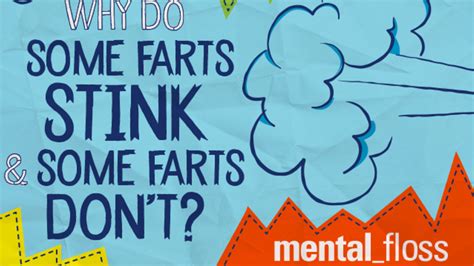 Why Do Some Farts Stink And Some Farts Dont Mental Floss