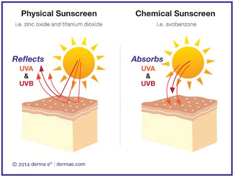 All You Need To Know About Sun Exposure And Sunscreens