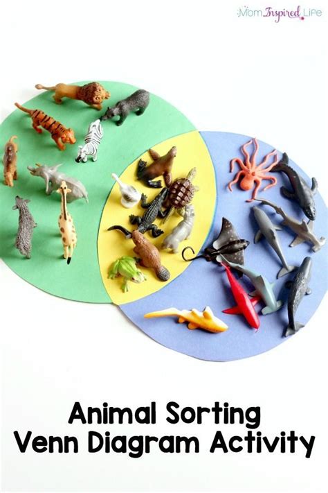 Print a set of animal body parts flashcards, or print some for you to colour in and write the words! Sorting Animals Venn Diagram Activity | Animal activities ...