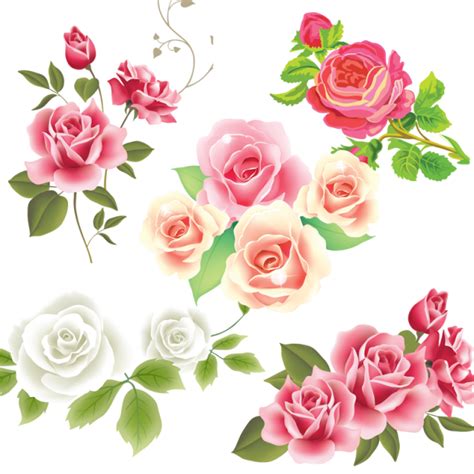 The Best Free Rose Flower Vector Images Download From 4135 Free
