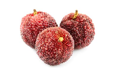 Chinese Bayberry Stock Photos Pictures And Royalty Free Images Istock