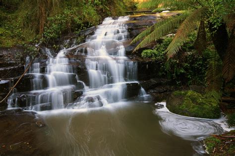 Waterfalls Australia Parks Great Otway Nature Wallpaper 3872x2581
