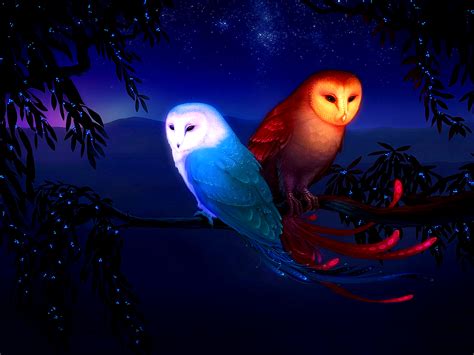 Fantasy Owls Owls Wallpaper 40623460 Fanpop